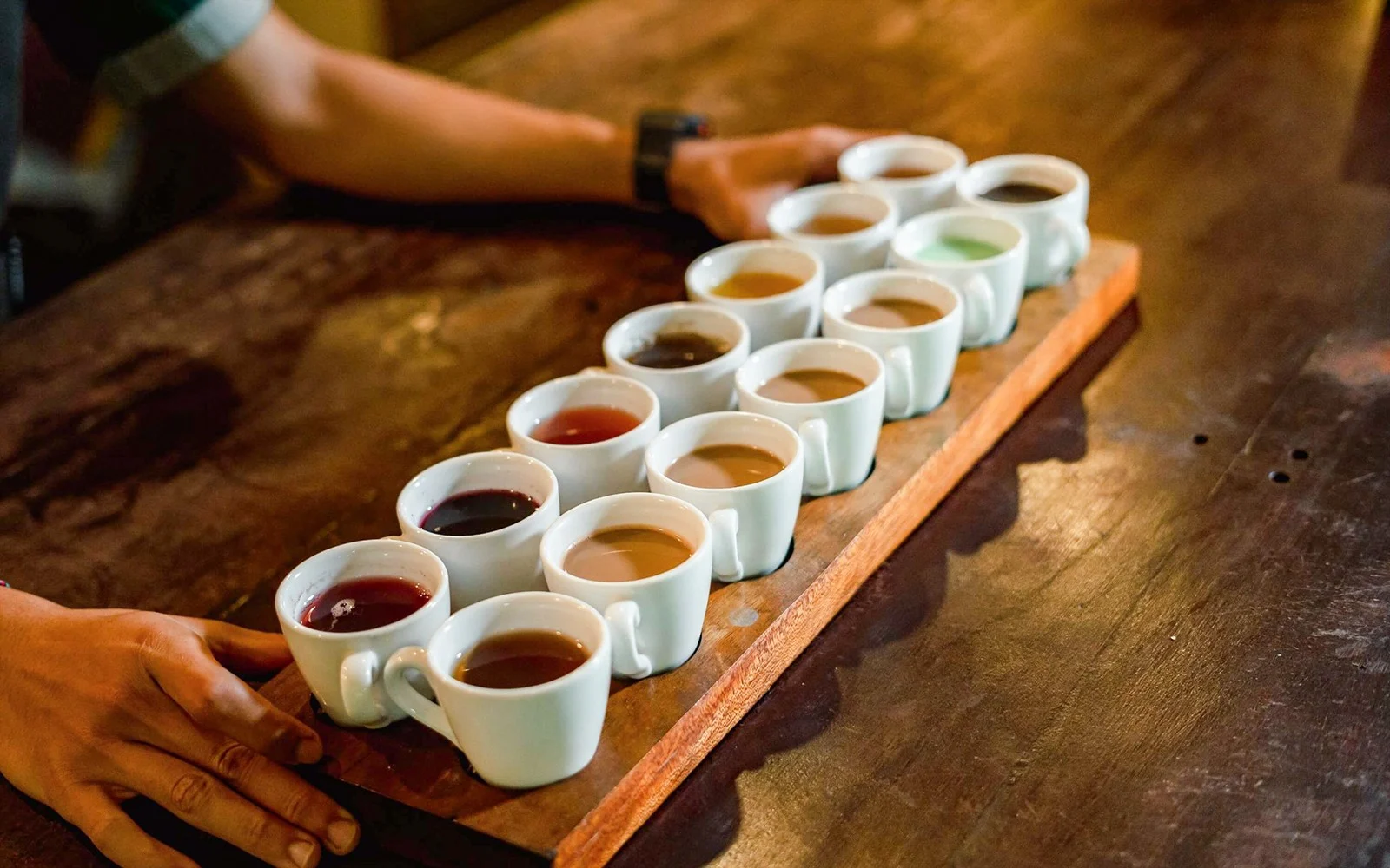Luwak coffee experience surrounded by tropical scenery